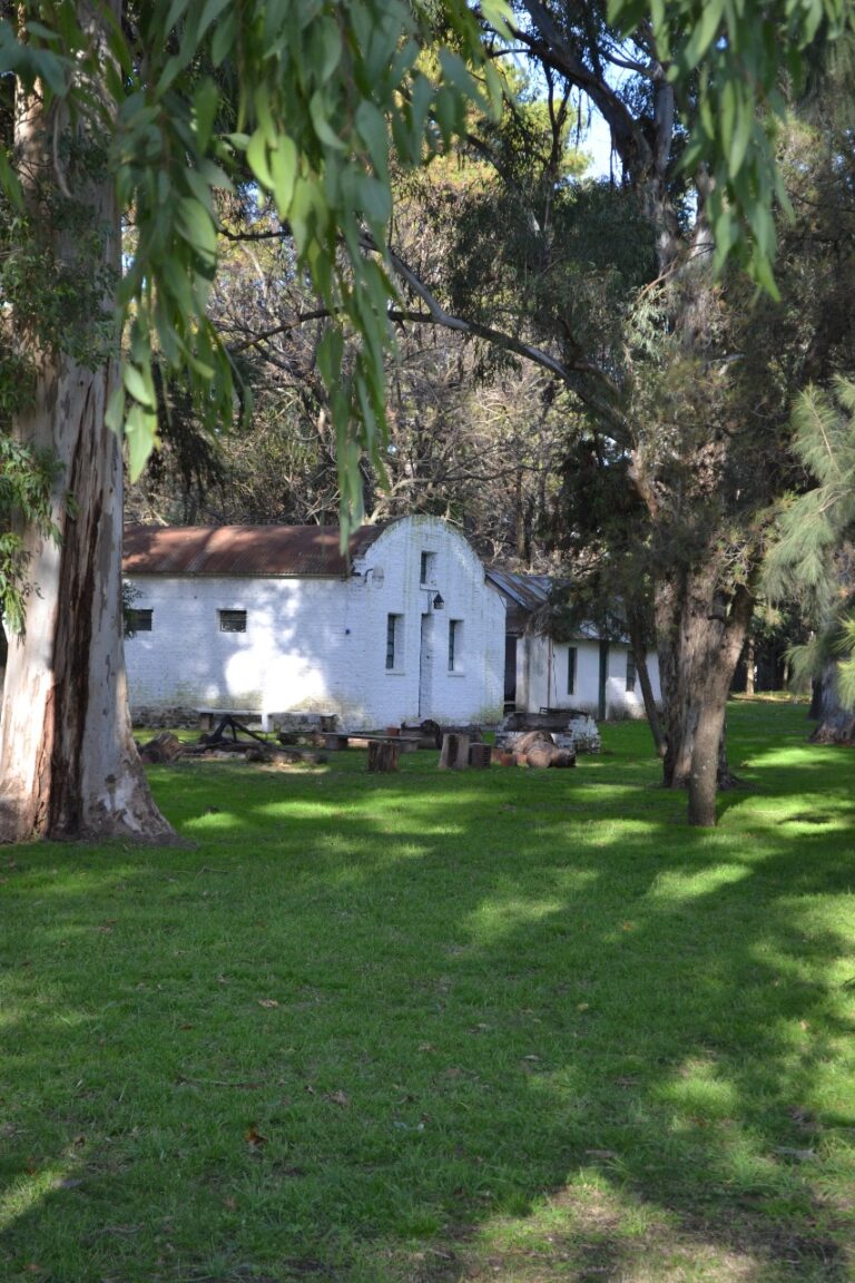 Complejo Cristiano Benavidez